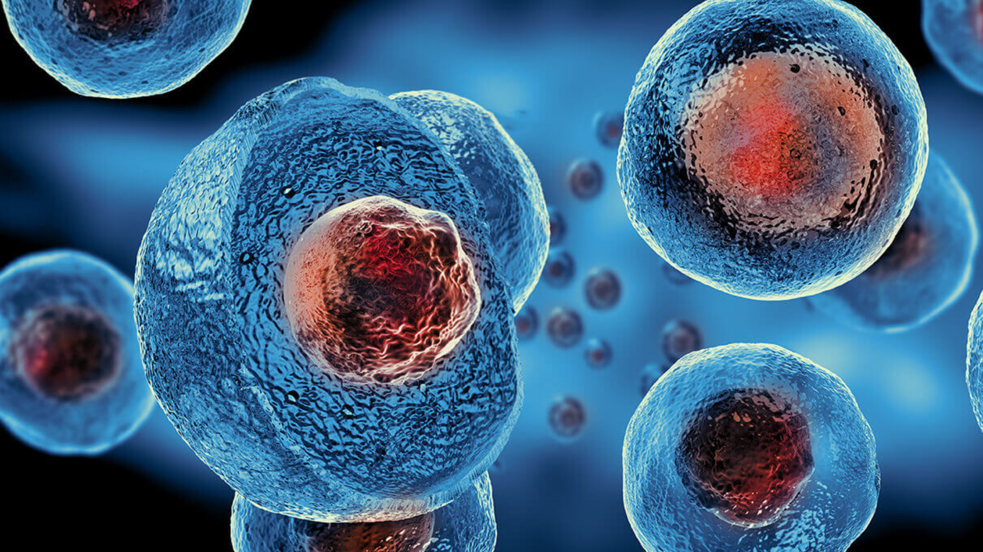 Stem Cell (ReGen) treatment at iCRYO St Johns
